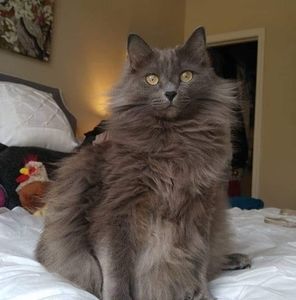 Meet your Posher, Amy